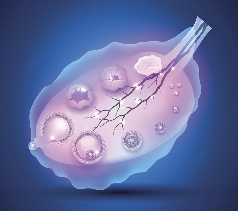 2026临汾第三代试管价格大概是多少-临汾试管婴儿医院排名比较好！